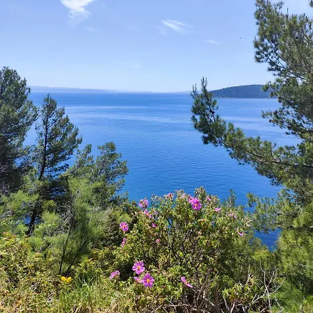 Apartment Lucy Split